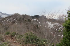 1027Ohz137 1027Ohz137