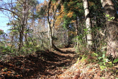 0955Gnt128 0955Gnt128