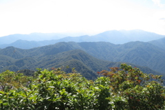 1131Okr136 1131Okr136