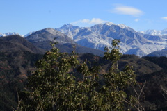 1011Gnt146 1011Gnt146