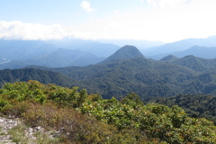 1146Okr148 1146Okr148