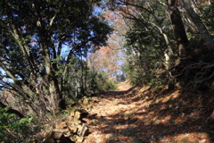 1004Gnt132 1004Gnt132