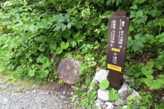 1300Gre227