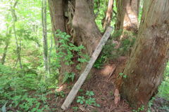 0913Tkr126 0913Tkr126