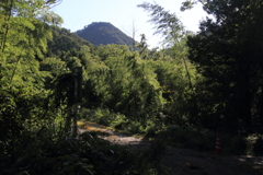 0834Gto113 0834Gto113