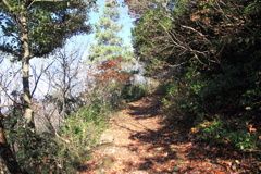 1005Gnt135 1005Gnt135