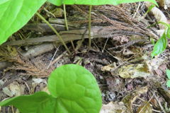 0824Uks106 0824Uks106