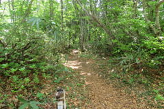 1034Tkr153 1034Tkr153