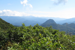 1131Okr137 1131Okr137