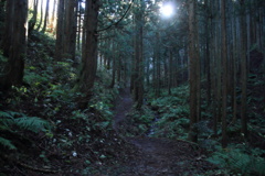 0943Gnt120 0943Gnt120