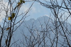 1023Osj121 1023Osj121