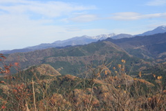 1111Gtg144