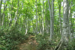 1251Uks150 1251Uks150