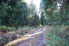 0920Gnt103 0920Gnt103