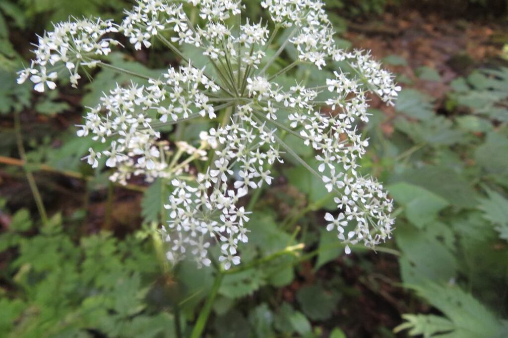Otz201002_094815