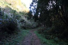 1048Gtg124