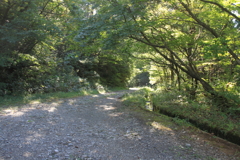 0839Gto122 0839Gto122