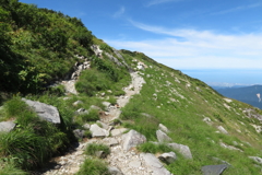 1111Okd149 1111Okd149