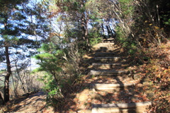 1008Gnt138 1008Gnt138