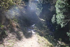 0839Gtg125