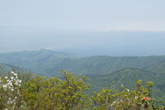 1119Uks141 1119Uks141