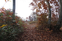 1107Osj133 1107Osj133