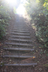 0932Gto154 0932Gto154