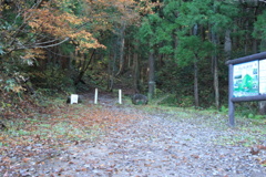 0931Gnt111 0931Gnt111