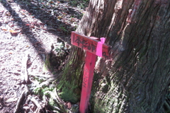 0857Okr108 0857Okr108