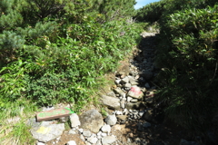 0933Okd129 0933Okd129