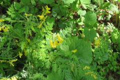 1405Uks170 1405Uks170