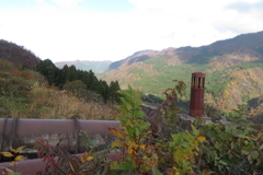 1029Osj123 1029Osj123