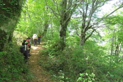 1006Tkr142 1006Tkr142