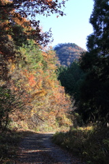 0929Gnt109 0929Gnt109