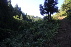 0913Gto142 0913Gto142