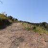 0838Chg_00108