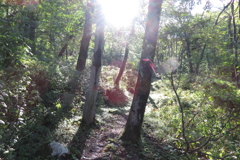 0840Okr106 0840Okr106