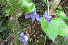 1328Uks157 1328Uks157