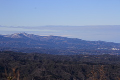 0948Gty195