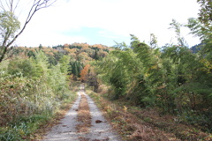 1008Gtg107