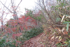 1103Osj132 1103Osj132