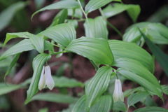 0805Uks102b 0805Uks102b