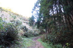 0951Gnt124 0951Gnt124