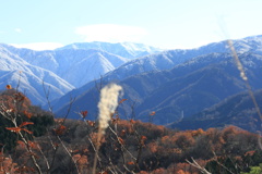 1010Gnt141 1010Gnt141