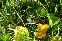 0913Okd124 0913Okd124