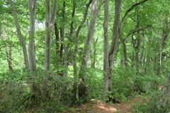 1122Tkr159 1122Tkr159