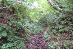 0930Wss113