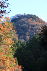 0929Gnt110 0929Gnt110