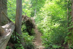 0856Tkr120 0856Tkr120