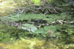 1331Uks161 1331Uks161